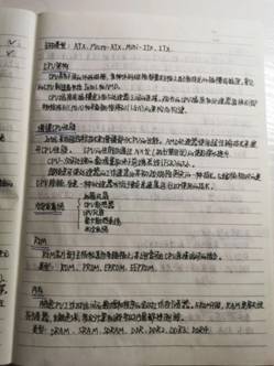 7.bmp